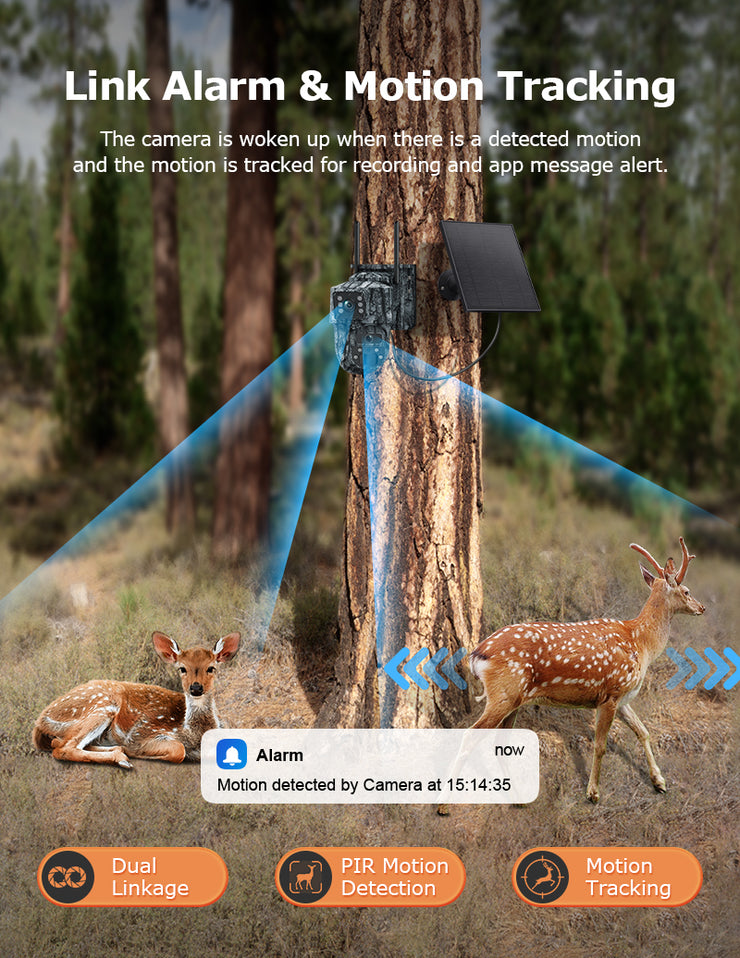 Mini Cámara Solar 4G Camuflaje Doble Lente 3MP