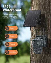 Mini Cámara Solar 4G Camuflaje Doble Lente 3MP