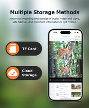 Mini Cámara Solar 4G Camuflaje Doble Lente 3MP